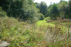 Wildgarten-Furth-im-Wald-017_web