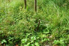 Wildgarten-Furth-im-Wald-018_web