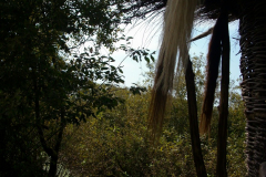 Wildgarten-Furth-im-Wald-029_web