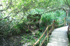 Wildgarten-Furth-im-Wald-035_web