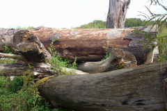 Wildgarten-Furth-im-Wald-046_web