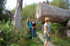 Wildgarten-Furth-im-Wald-048_web