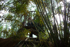 Wildgarten-Furth-im-Wald-050_web