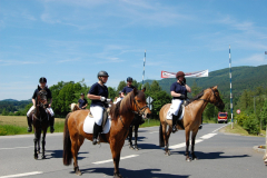 sportverein-044_web