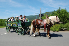 sportverein-049_web